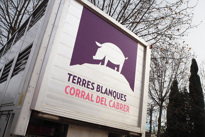 Terres Blanques Corral del Cabrer 4