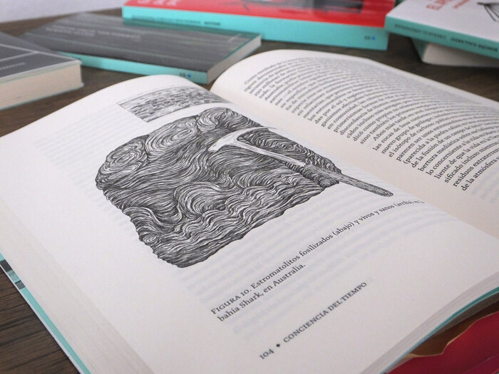 Grano de Sal book interiors 3
