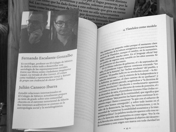 Grano de Sal book interiors 5