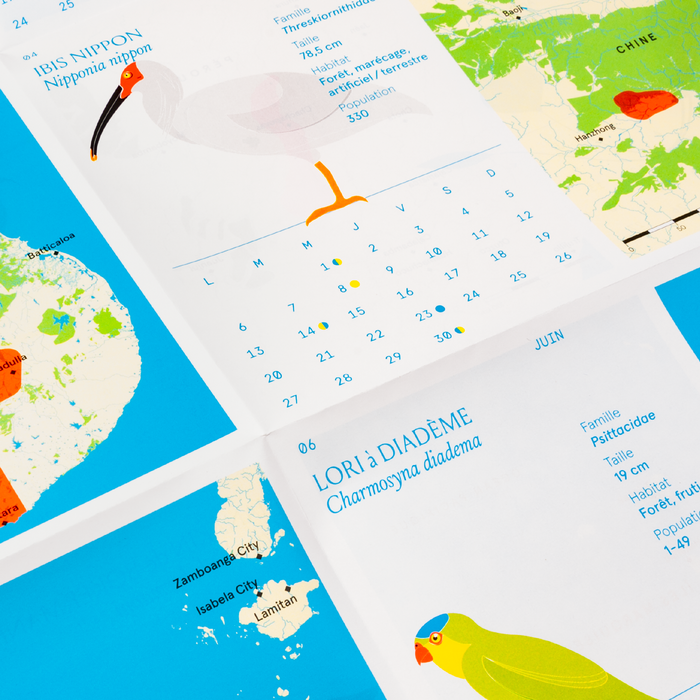 Petit atlas des oiseaux rares 1
