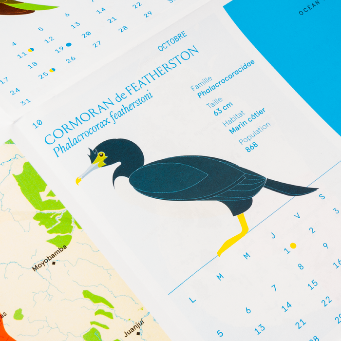Petit atlas des oiseaux rares 2