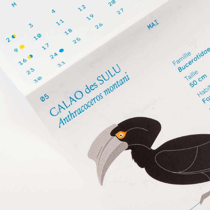 Petit atlas des oiseaux rares 3