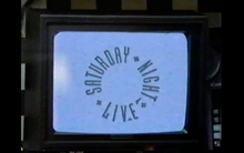 <cite>Saturday Night Live</cite> TV logo (1988–1995)