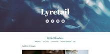 WordPress Lyretail theme header