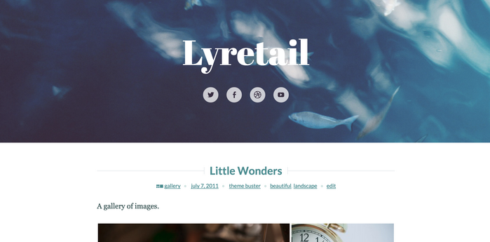WordPress Lyretail theme header 1