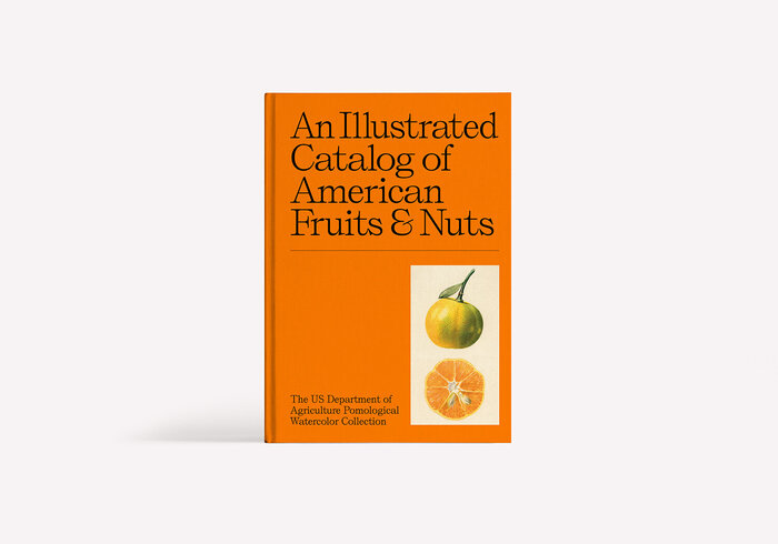An Illustrated Catalog of American Fruits &amp; Nuts 1