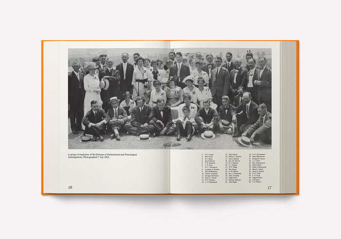 An Illustrated Catalog of American Fruits &amp; Nuts 5