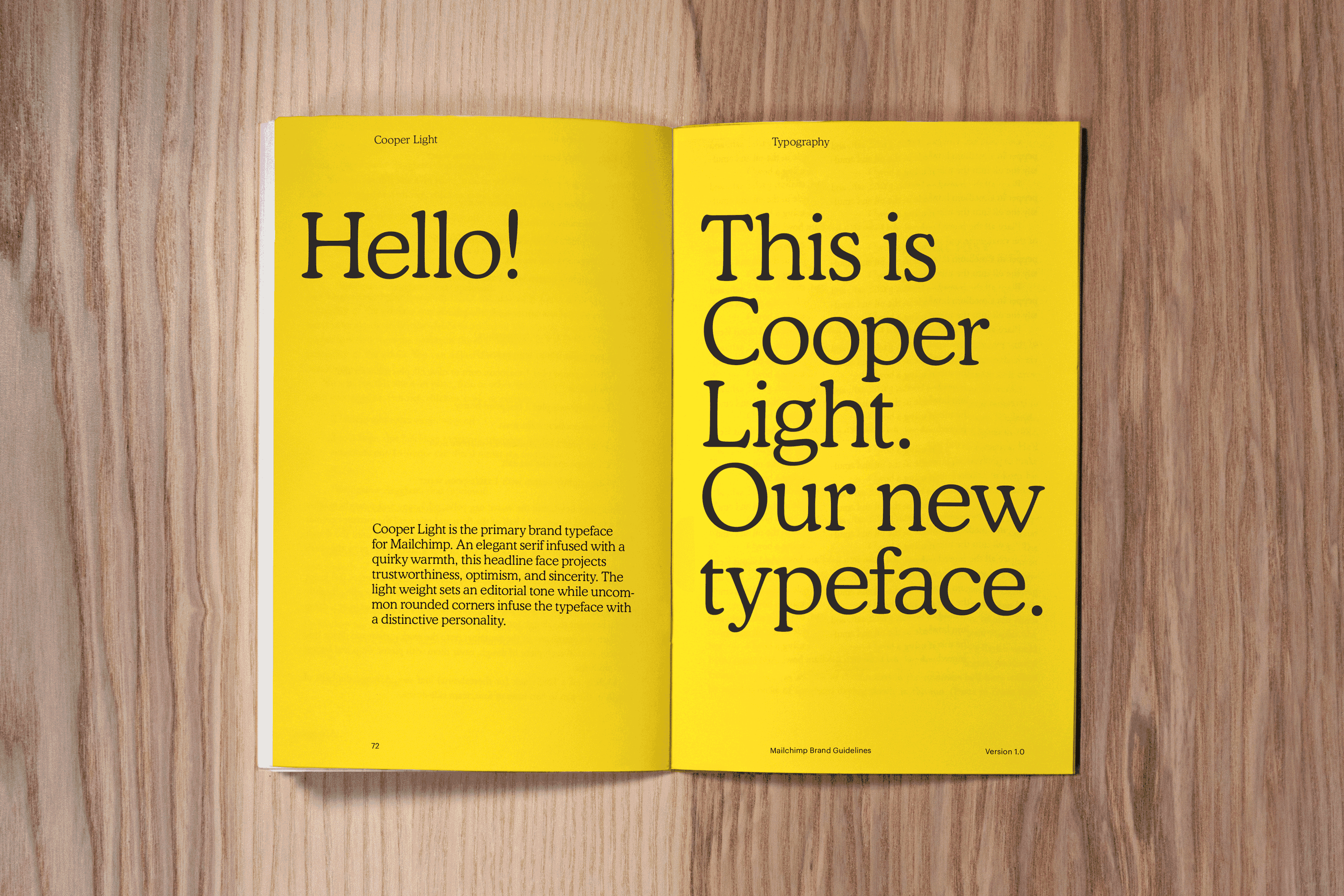 Mailchimp identity (2018 redesign) 6