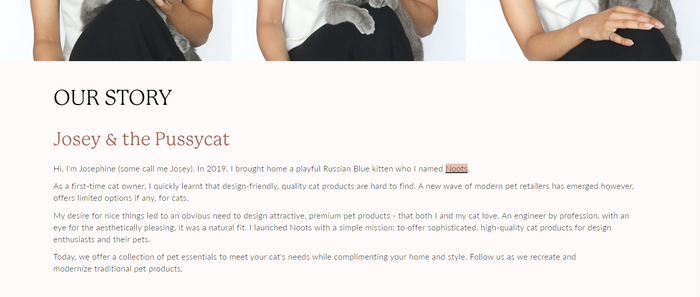 Noots Pets website 4