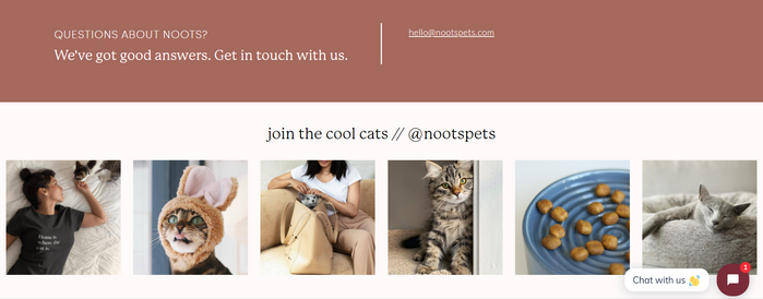 Noots Pets website 3