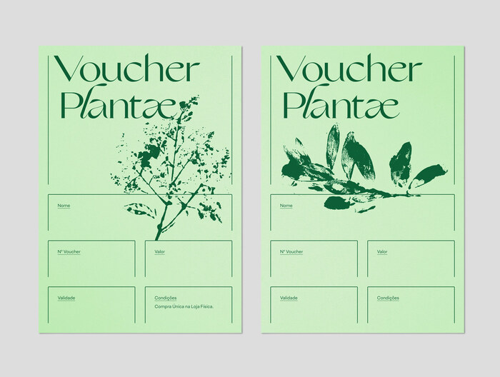 Plantae 5