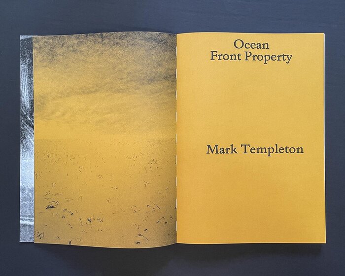 Ocean Front Property by Mark Templeton 1