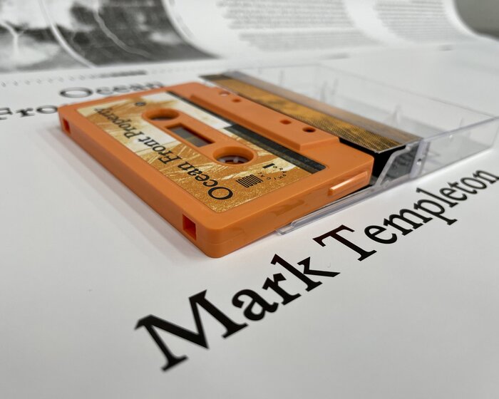 Ocean Front Property by Mark Templeton 3