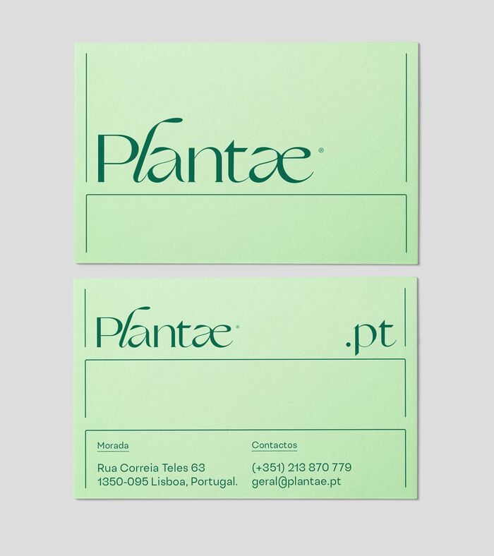 Plantae 8