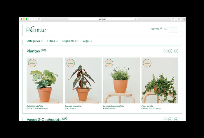 Plantae 6