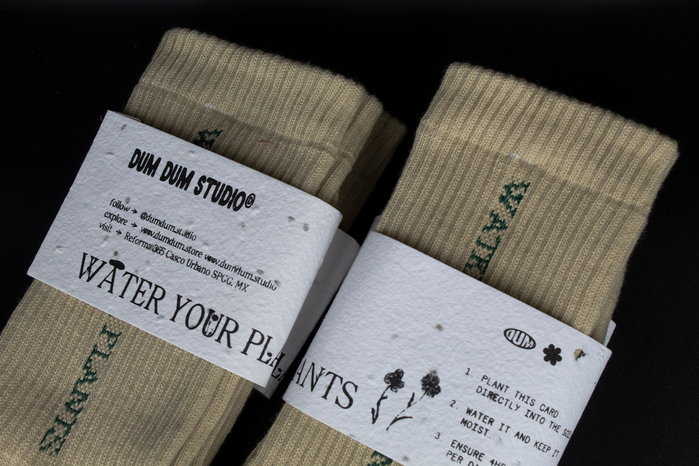 Water Your Plants socks 1