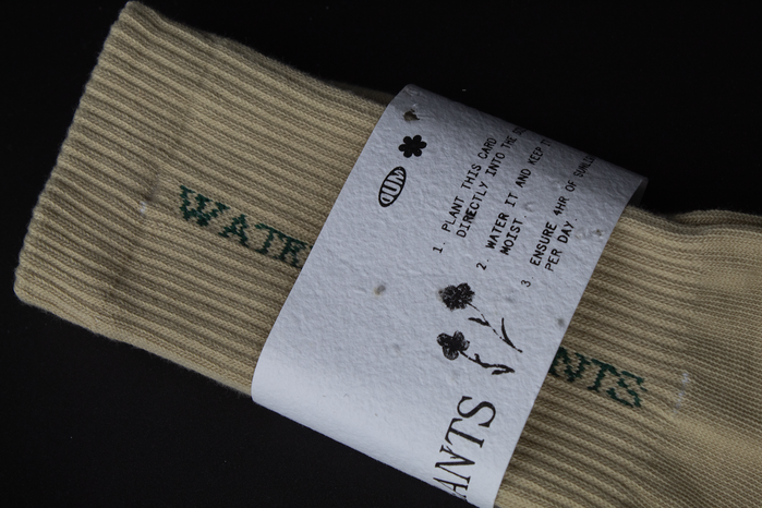 Water Your Plants socks 6
