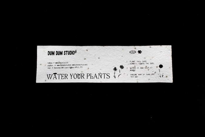 Water Your Plants socks 7