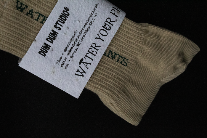 Water Your Plants socks 8