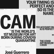 The Covid Art Museum website