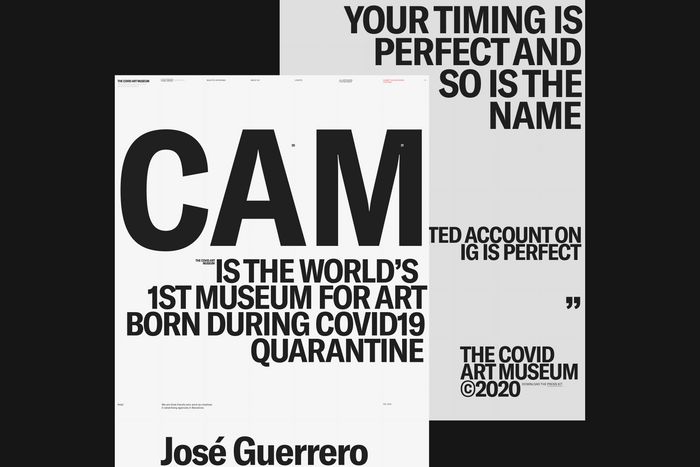 The Covid Art Museum website 3