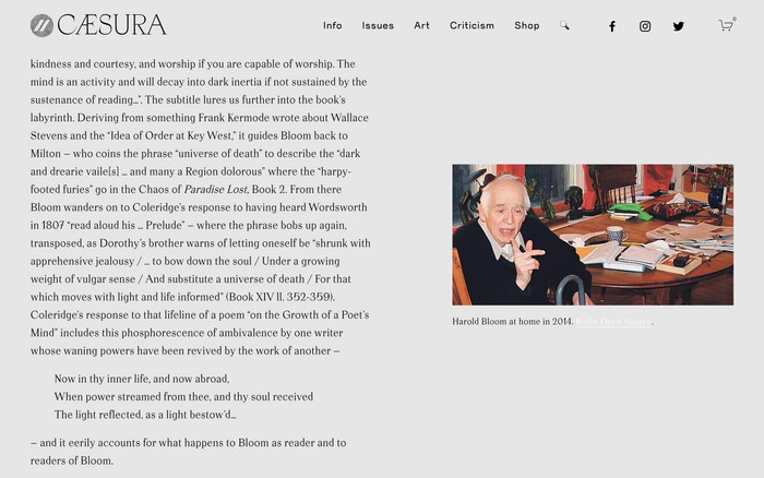 Caesura website 5
