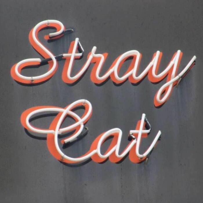 Stray Cat Bar, Zürich 1