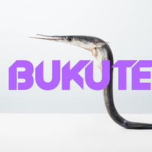 Buku Team website