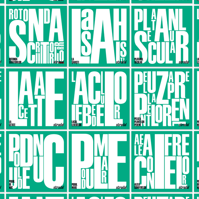 Cișmigiu Gardens signs 2