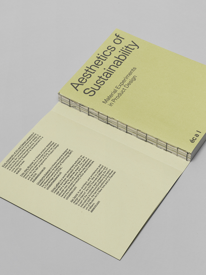Aesthetics of Sustainability 2