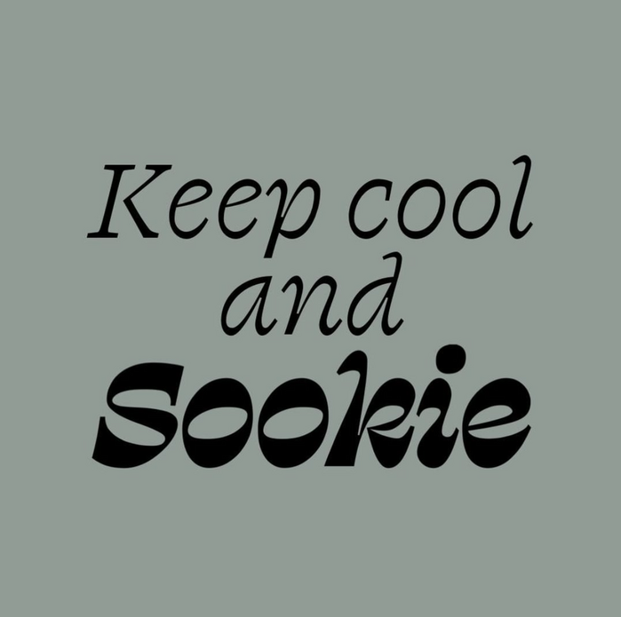 Hotel Sookie identity and website 8
