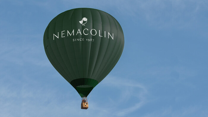 Nemacolin 8