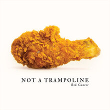 Rob Cantor – <cite>Not A Trampoline</cite> album art