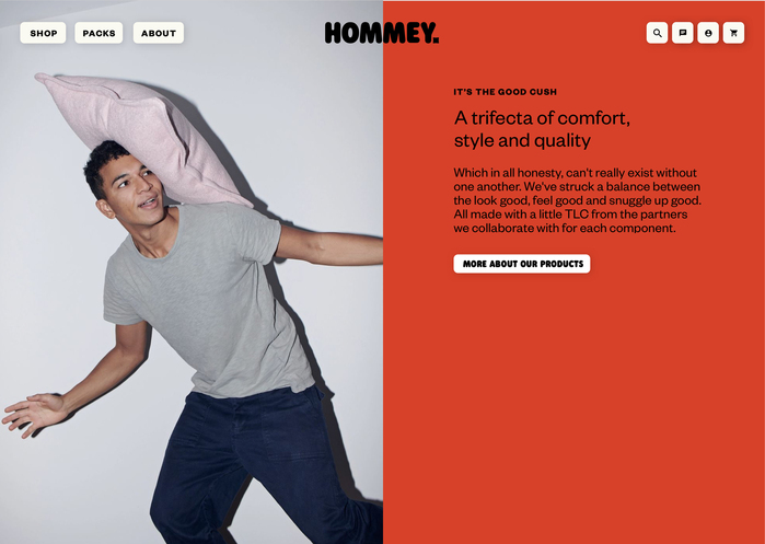 Hommey branding and website 15