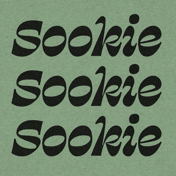 Hotel Sookie identity and website 4