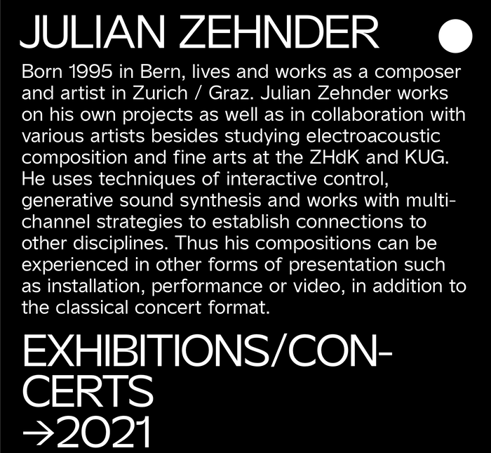 Julian Zehnder website 5