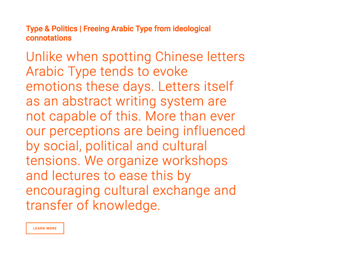 Type & Politics website 4