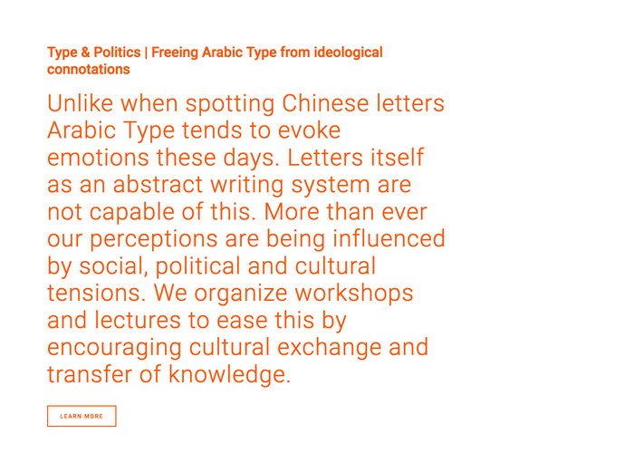 Type &amp; Politics website 4