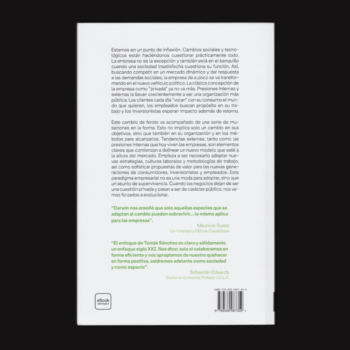 Public Inc. by Tomás Sánchez Valenzuela 3