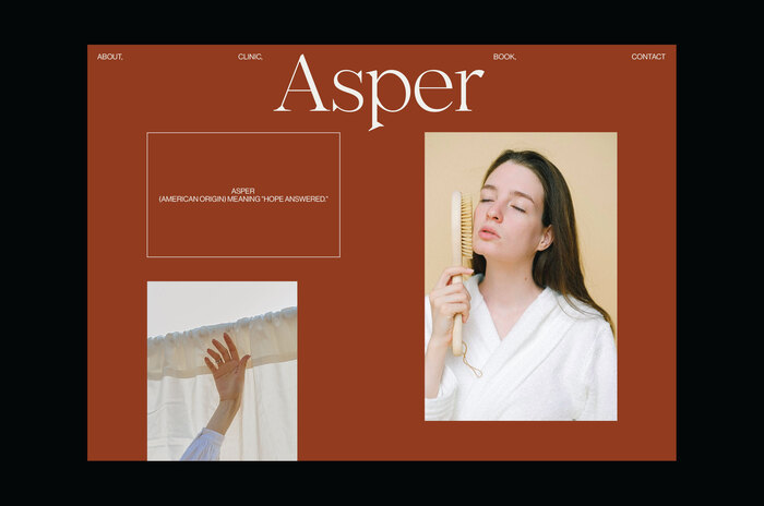Website (proposal).