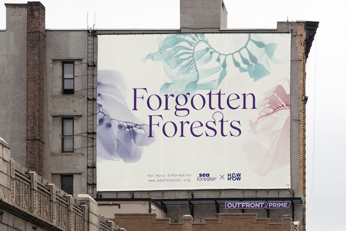 Forgotten Forests 6