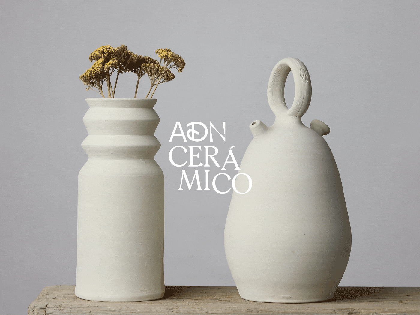 ADN Cerámico 3