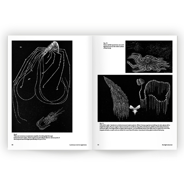The Light Observer magazine, “The Water Issue” 3