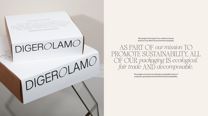 Digerolamo visual identity and website 4