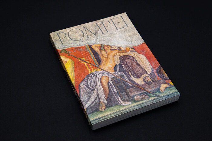 Pompéi exhibition catalog 1