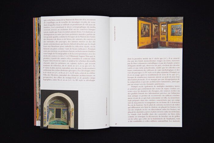 Pompéi exhibition catalog 9