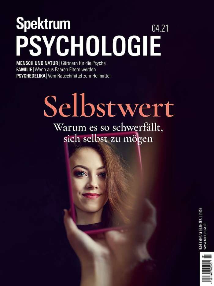 Spektrum Psychologie magazine covers 1