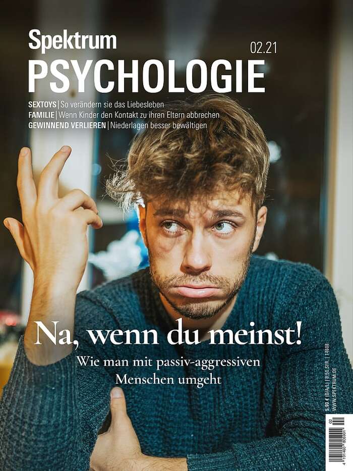 Spektrum Psychologie magazine covers 3