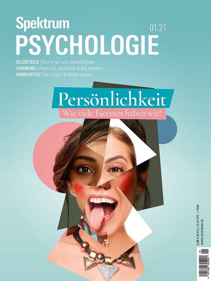 Spektrum Psychologie magazine covers 4