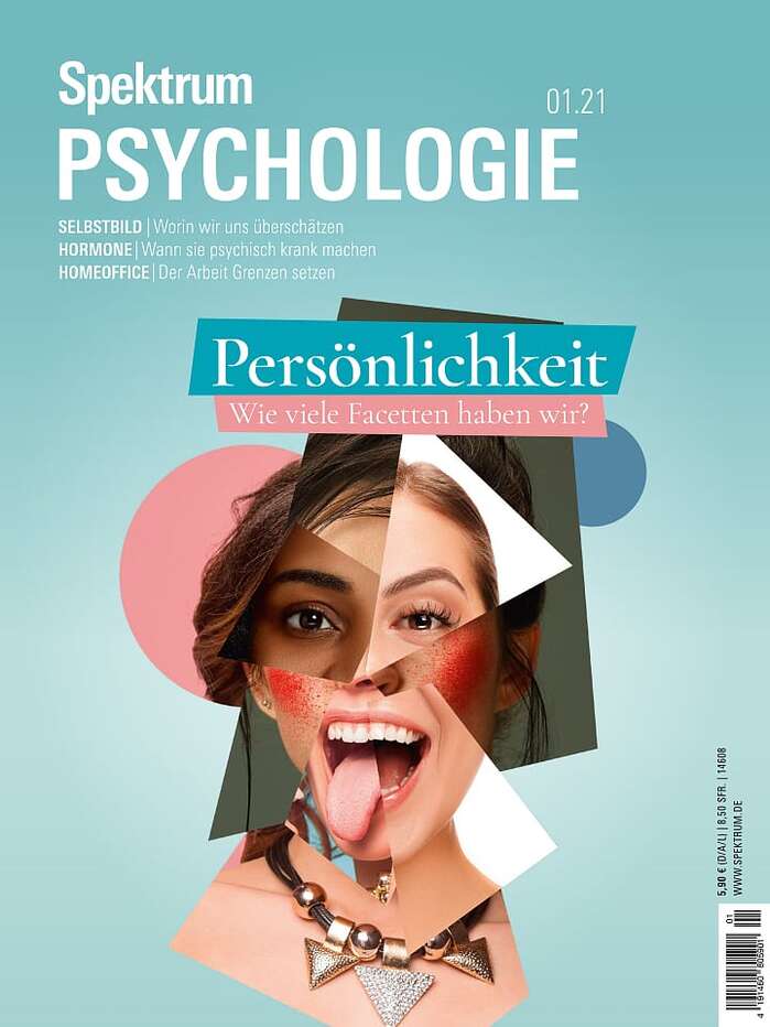 Spektrum Psychologie magazine covers 4